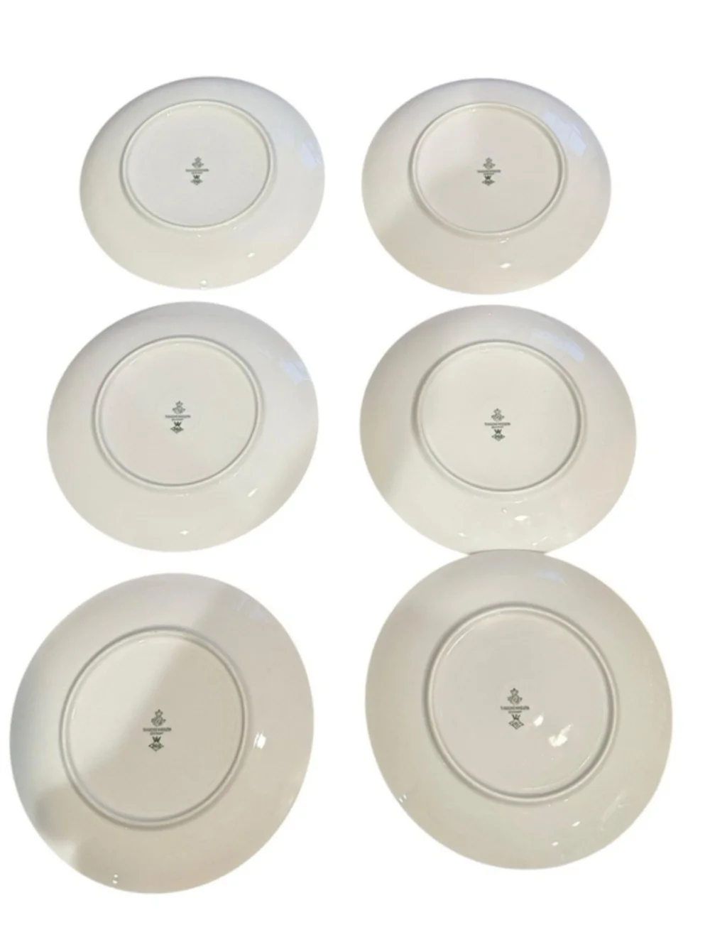 Six (6) Beautiful Vintage Tirschenreuth Bavaria ~ Pasco #2593 ~ Fruit Plate Set